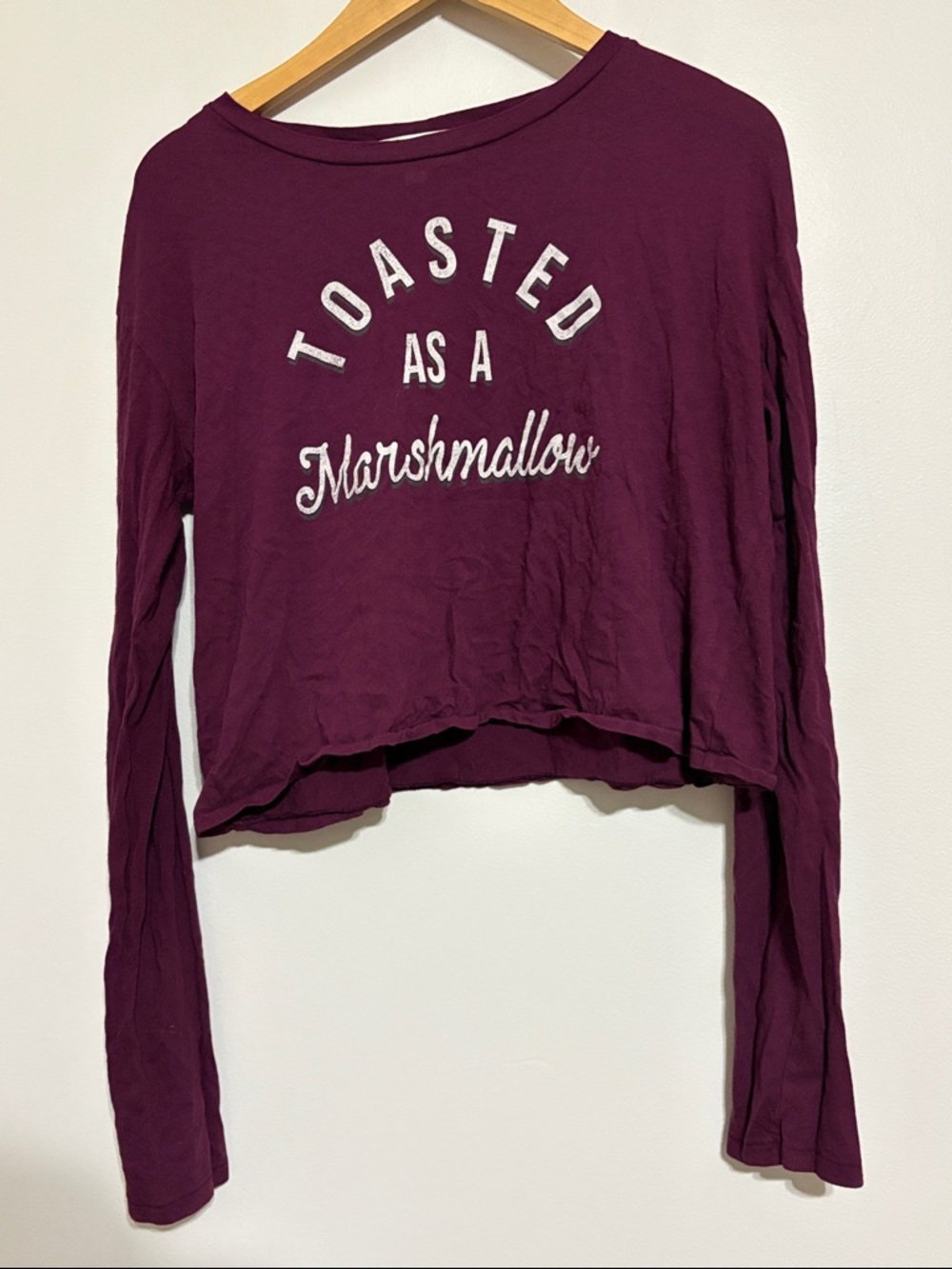 Wildfox Toasted As A Marshmallow Long-Sleeve Plum Purple Crop Top Size Small